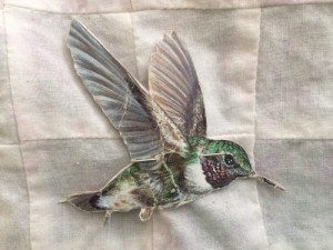 Cardboard hummingbird